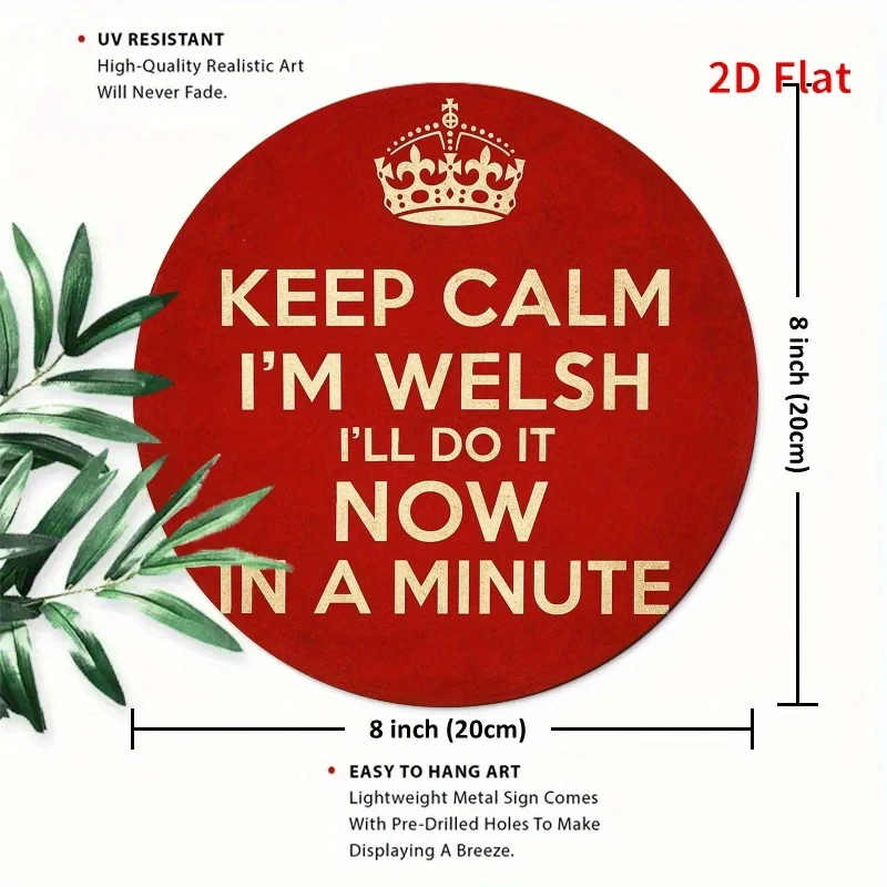 2D Flat, 2D Flat Funny Welsh Saying Metal Plate - 