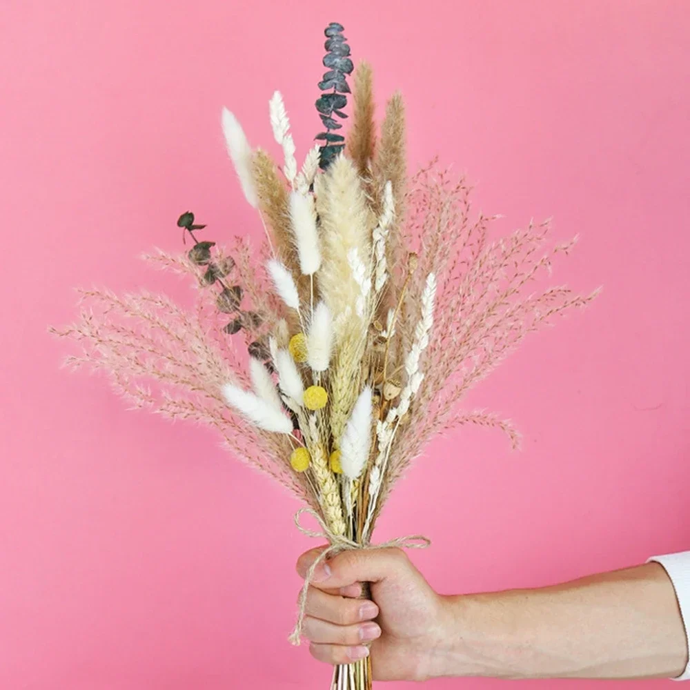 Natural Dried Fluffy Pampas Grass Bouquet Set , Boho Home Decor, Large Reed, Bunny Tail, Wheat Stalk, Decorative