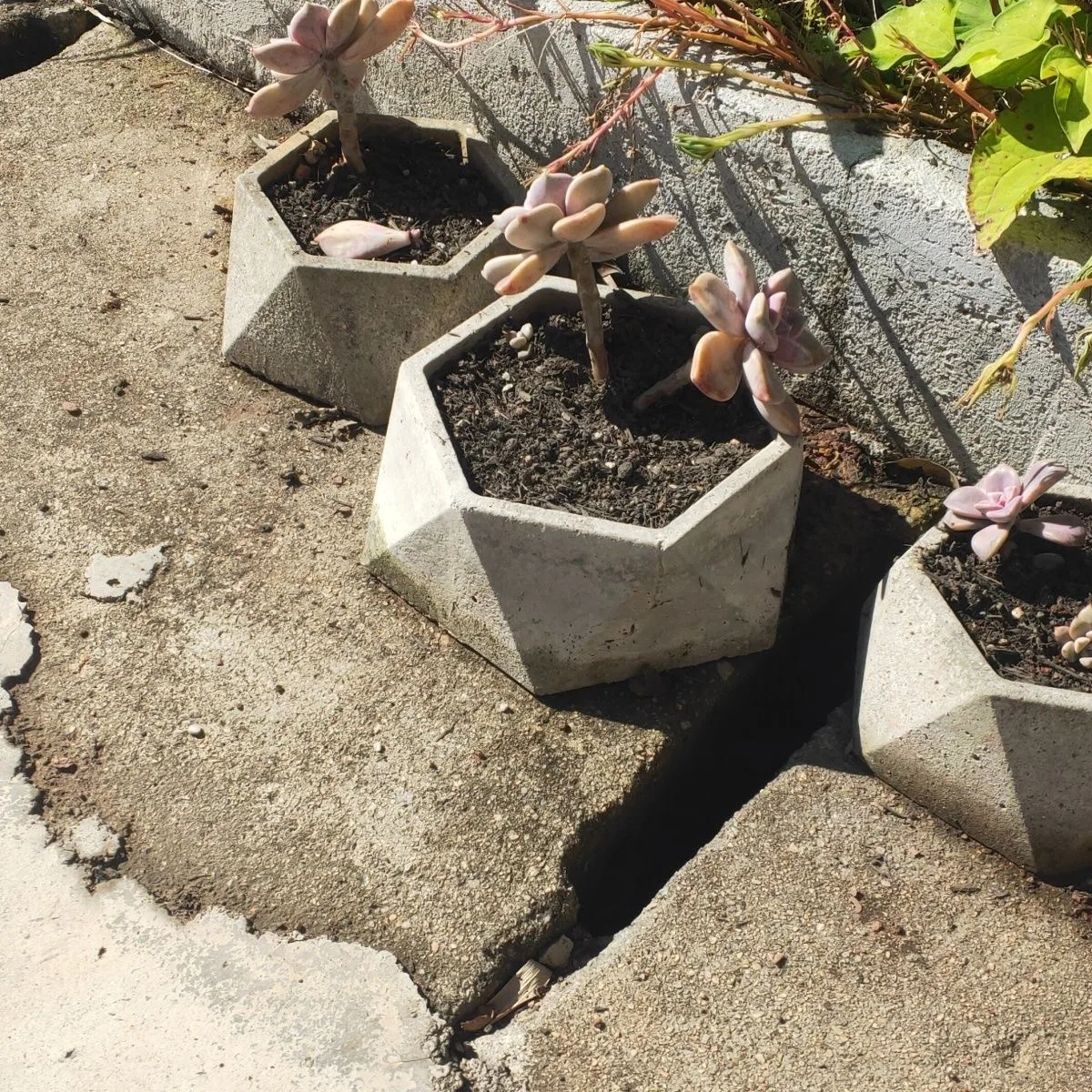 Plastic Succulent Planter Mold, Reusable DIY Flower Pot Form, Lightweight Cement Mould for Home Use Small Business