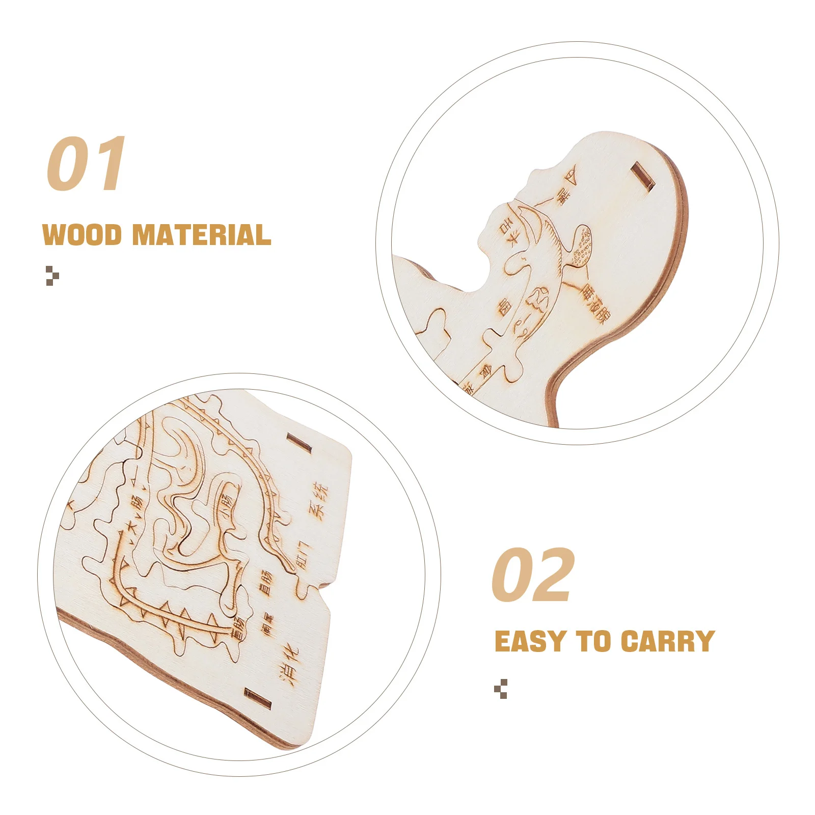 3-teiliges My Body-Puzzle für Kleinkinder – Naturholz-Puzzle für menschliche Anatomie – Geschicklichkeitsgebäude, wissenschaftliches Lernspiel für Kinder – Vorschule