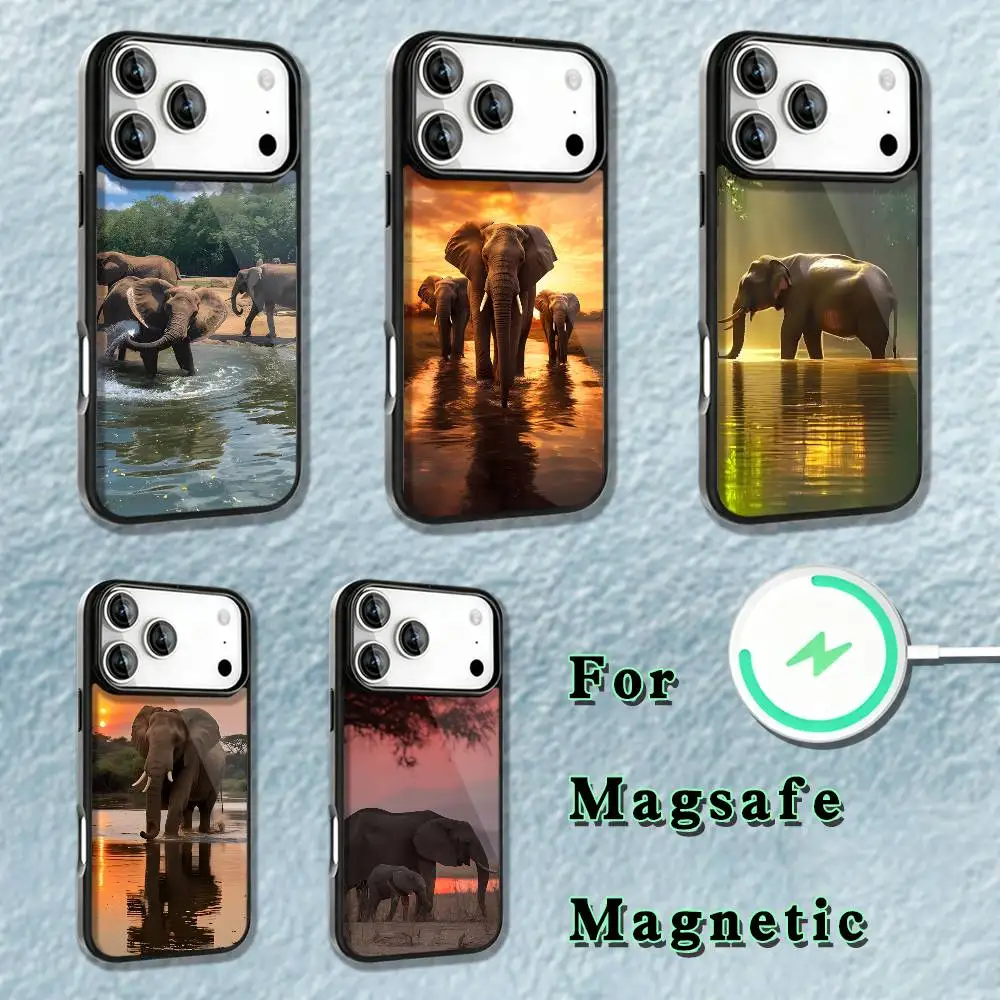 

Animal Elephant Phone Case For iPhone 17,16,15,14,13,12,11,Pro,Max,Plus,Mini,SE4,E Magnetic Magsafe Wireless Charging