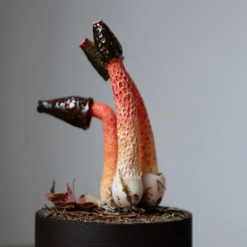 Ręcznie Robione Ozdoby Grzybki Czerwonego Grzyba Pieprzowego Zabawki Dekoracje na Biurko Personalizowane Grafiki Kolekcja Dekoracja Prezent