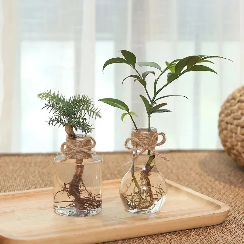 히아신스 투명 꽃병, 홈 거실 정원 장식, 책상 장식, 꽃병, 식물 병, DIY 냄비