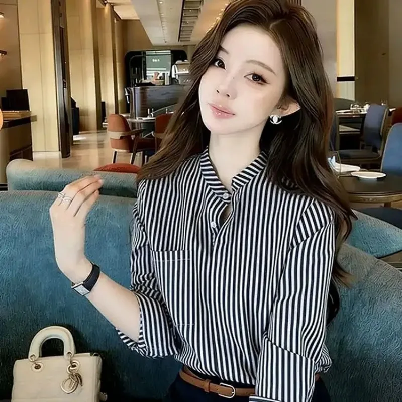 

Women's Striped Long Sleeve Shirt Casual Office V-neck Button-up Blouse
