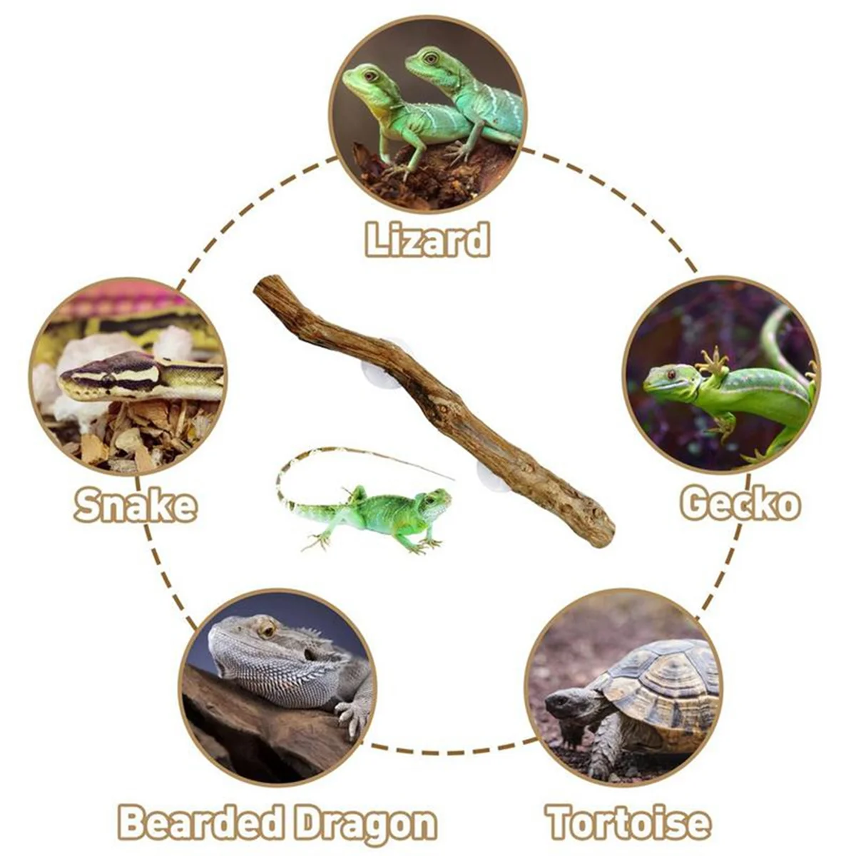 ABKO-สาขาสัตว์เลื้อยคลานสําหรับปีนเขาที่ไม่ซ้ํากัน Bearded Dragon สาขาธรรมชาติลื่น Habitat ตกแต่งสัตว์เลื้อยคลาน Decor