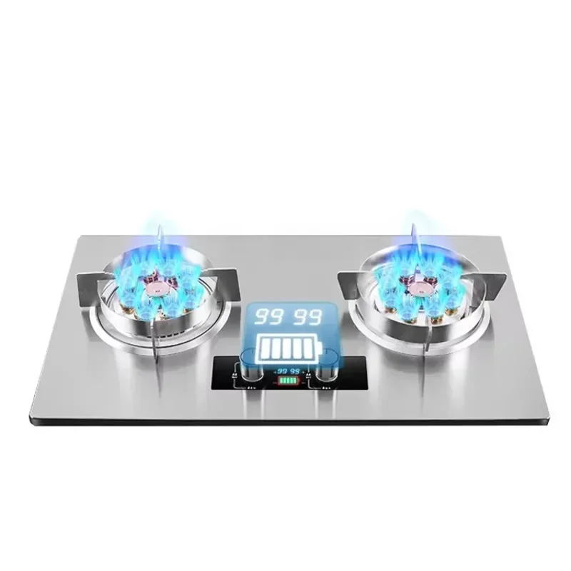 Fire powerful built-in gas stove LPG gas stove Stainless steel top 2 burners Kitchen gas stove