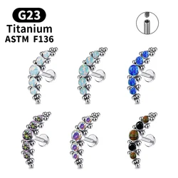 G23 Titanium ASTM F136 Tragus Piercing Ear Piercing Stud Earrings for Woman Jewelri Accessories