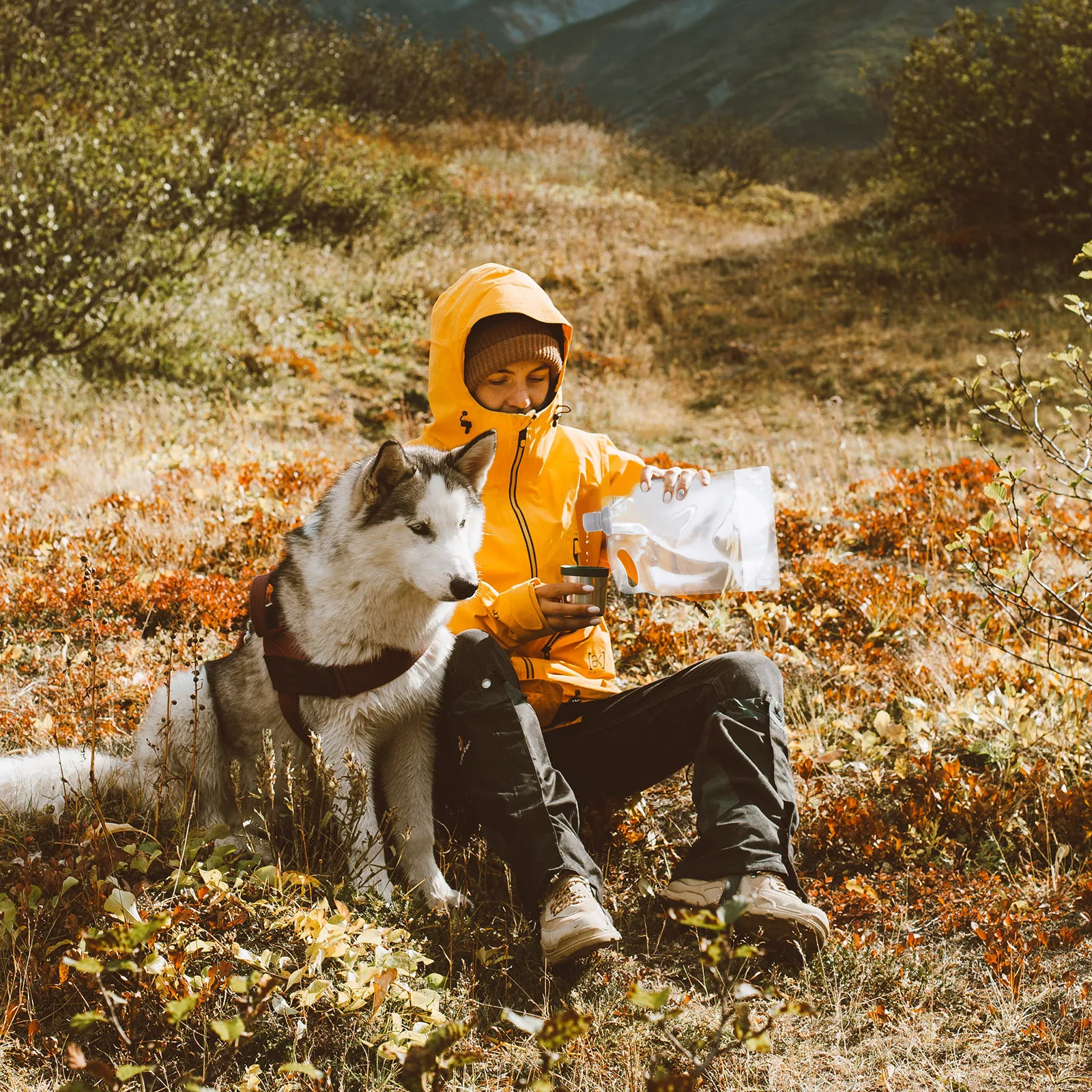 

3Pcs 2L Multifunctional Water Carrier Easy Carry Foldable Water Reservoir Suitable for Hiking Camping Emergency Survival Kit