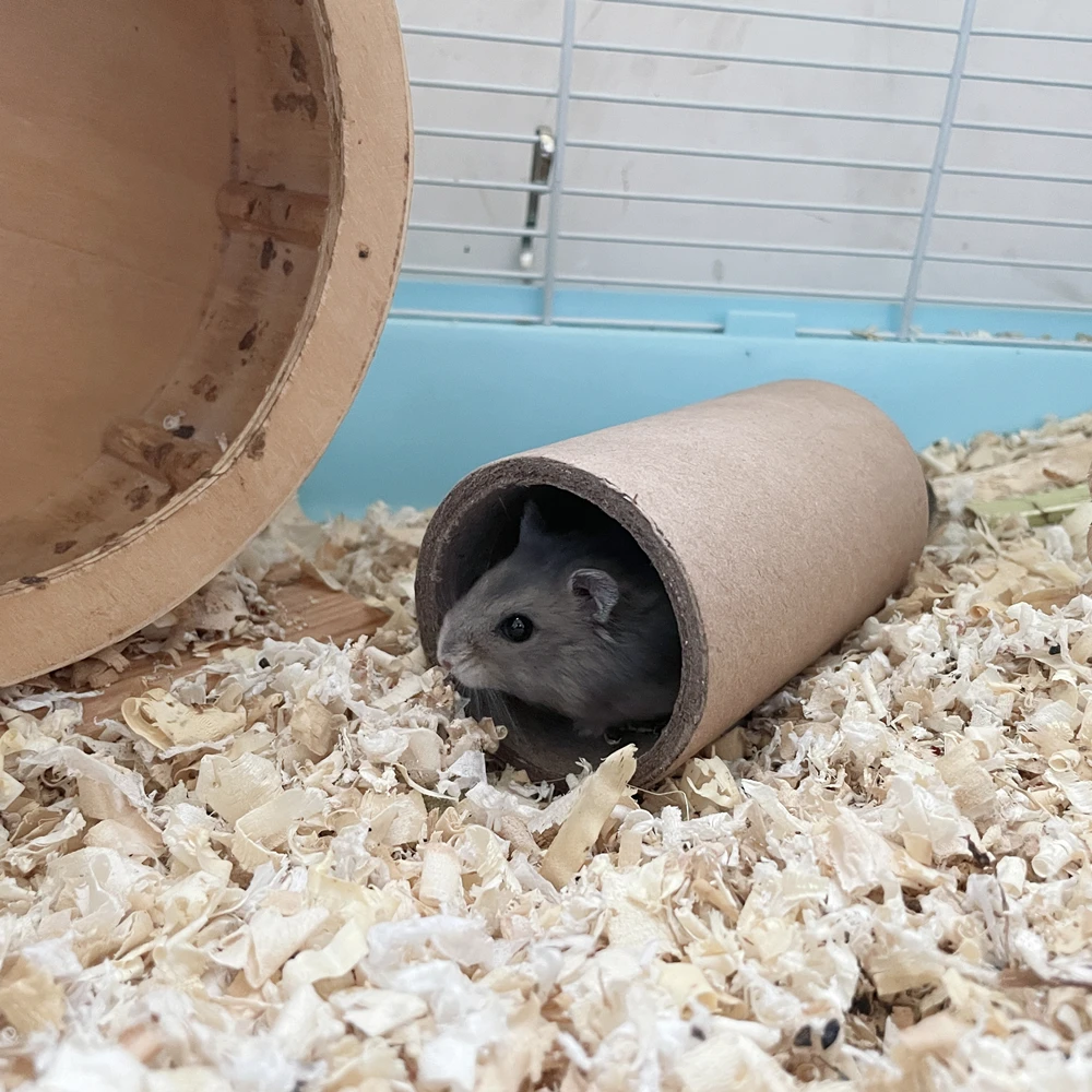 

Natural Cardboard Hamster Tunnel Tube Safe Chew Toy & Hideout for Dwarf Hamsters Gerbils Mice & Small Pets