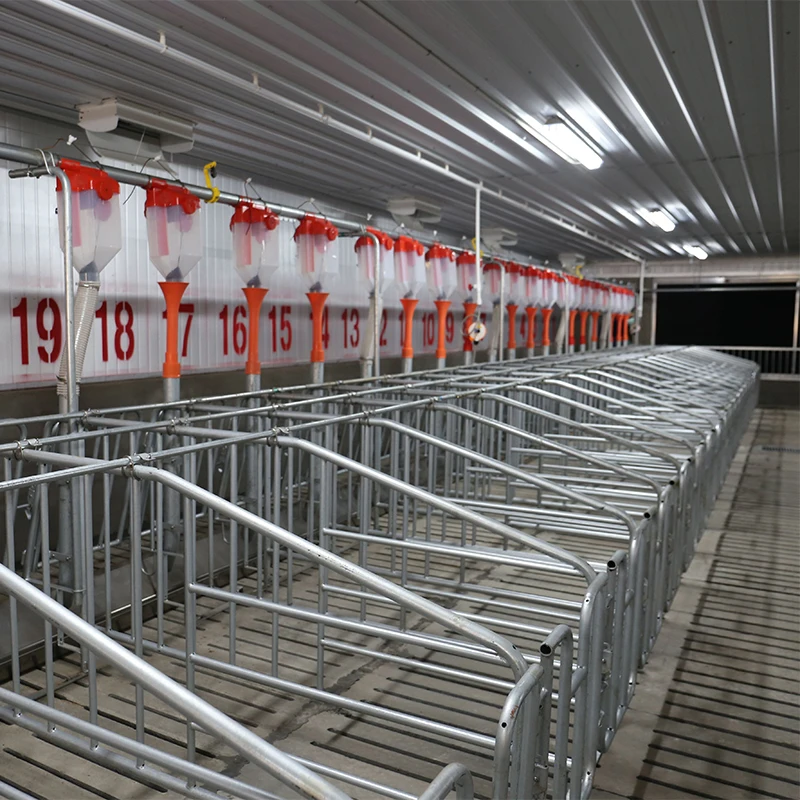 Pig Sow Piglet Stal… - image