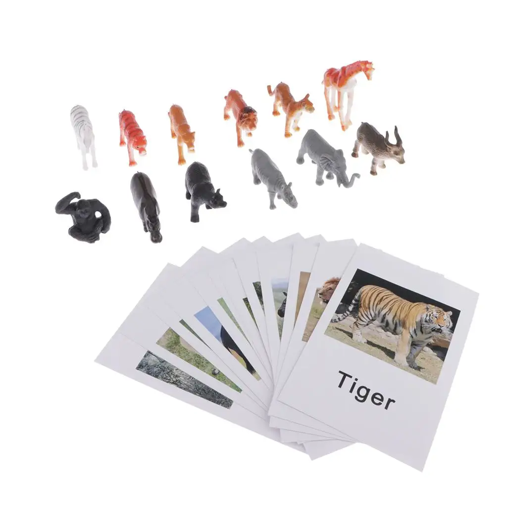 Montessori Matching Cards & Animal Figures - Set of 12 - Early Learning Manipulative for Kids