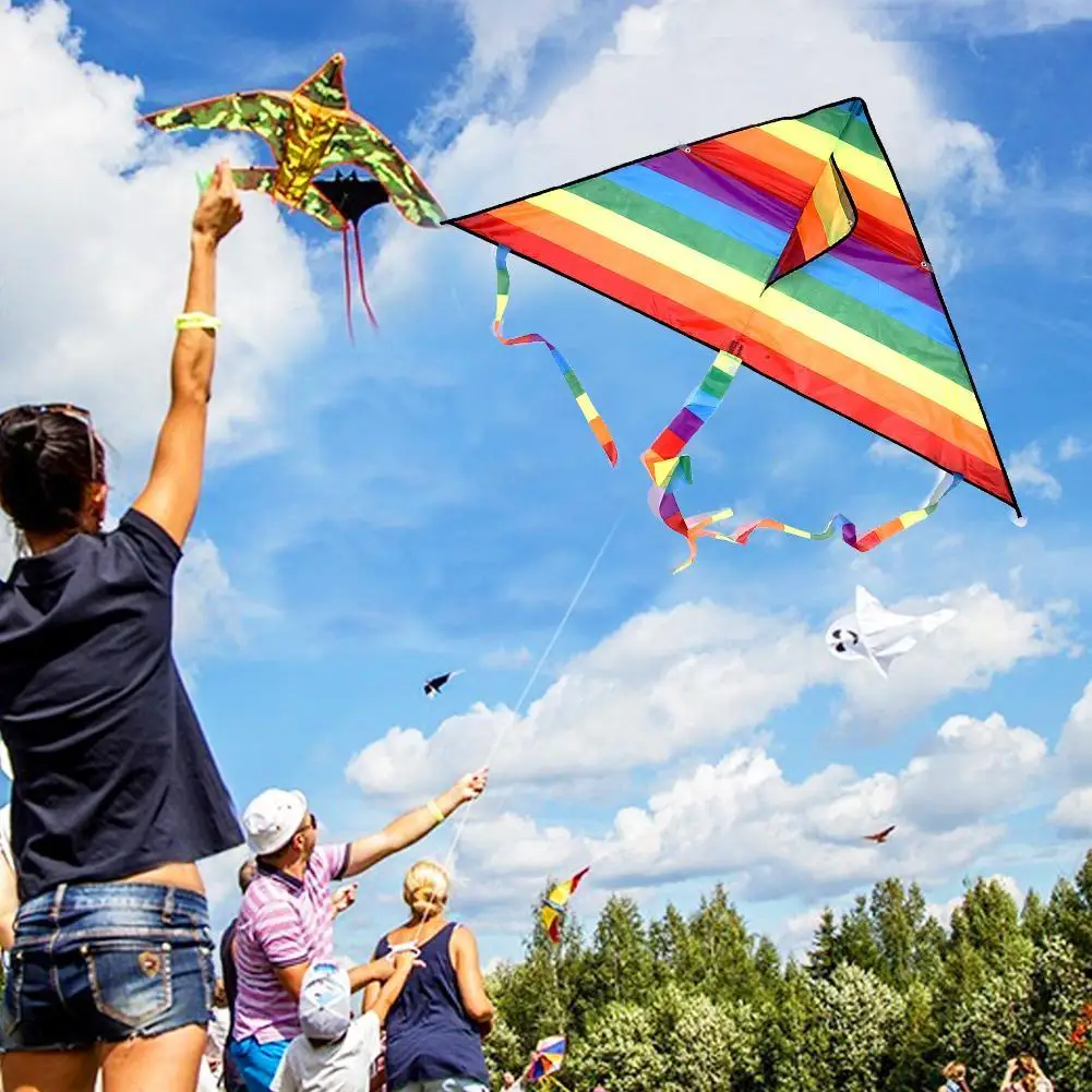 Cometa Delta de colores arcoíris para niños y adultos, cometa con línea de 30 metros, regalo de nailon