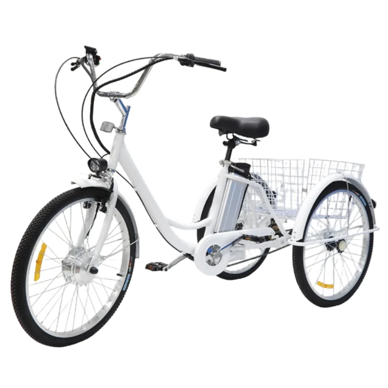 3 Wheel Electric Cargo Bicycles for Elderly 350W 36V 12AH 24 Inch Family Electric Bike Removable Battery with Cargo Basket