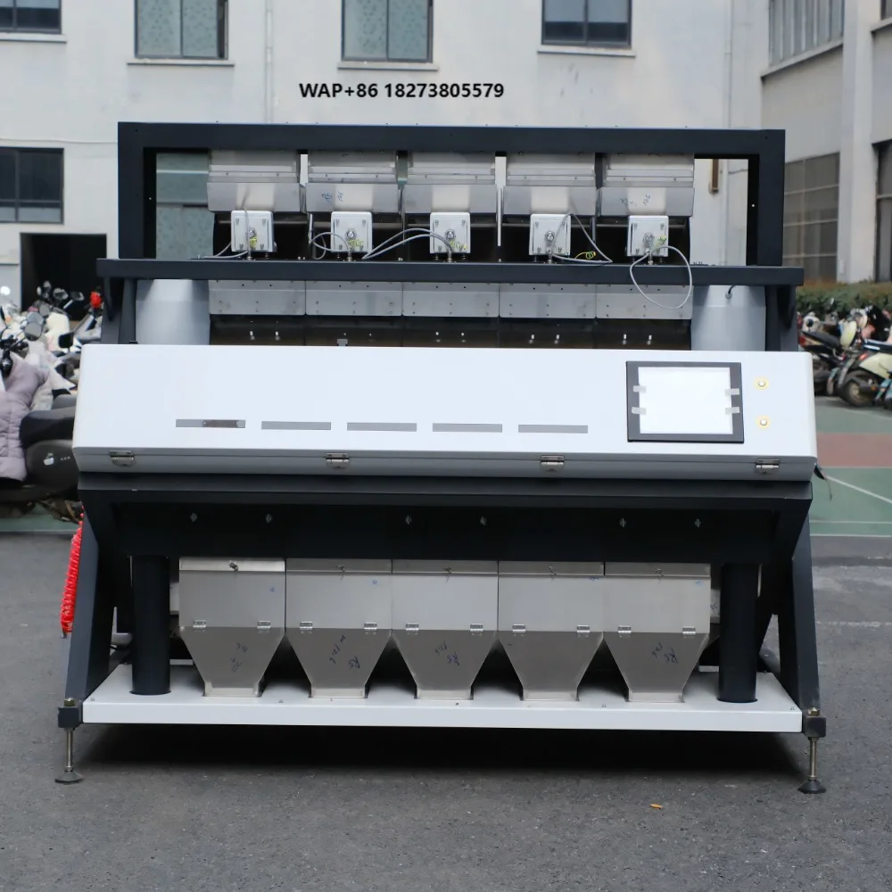 Wenyao Intelligent Automatic Walnut Color Sorter Kernel and Shell Pine Nut Color Sorter Machine