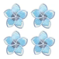 PE17081CT