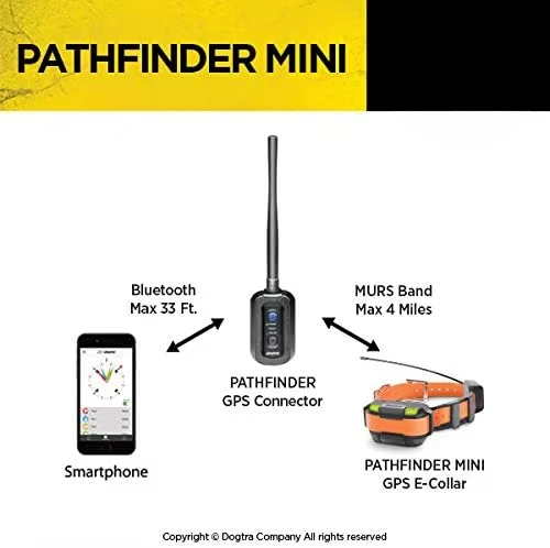 Электронный ошейник для дрессировки собак Pathfinder Mini GPS для маленьких и средних собак — дальность действия 4 мили