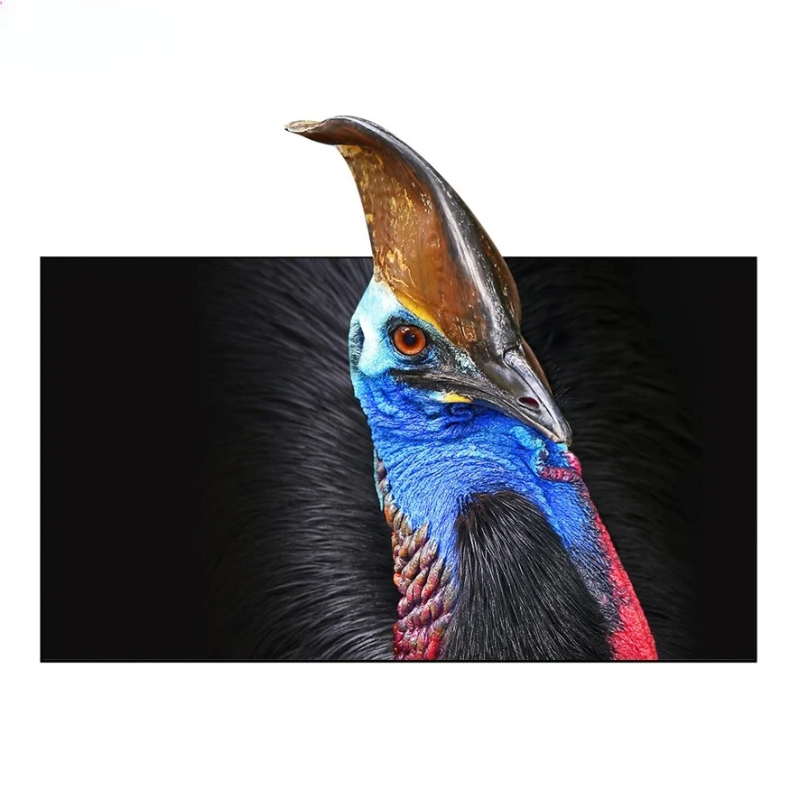 

120/150 дюймов новый Wupro CBSP UST ALR CLR экран с фиксированной рамкой, высококонтрастный ПЭТ-кристалл, 4k, высококачественный экран проектора