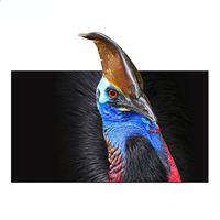 120/150 inch new Wupro CBSP UST ALR CLR fixed frame screen high contrast PET crystal 4k high quality projector screen