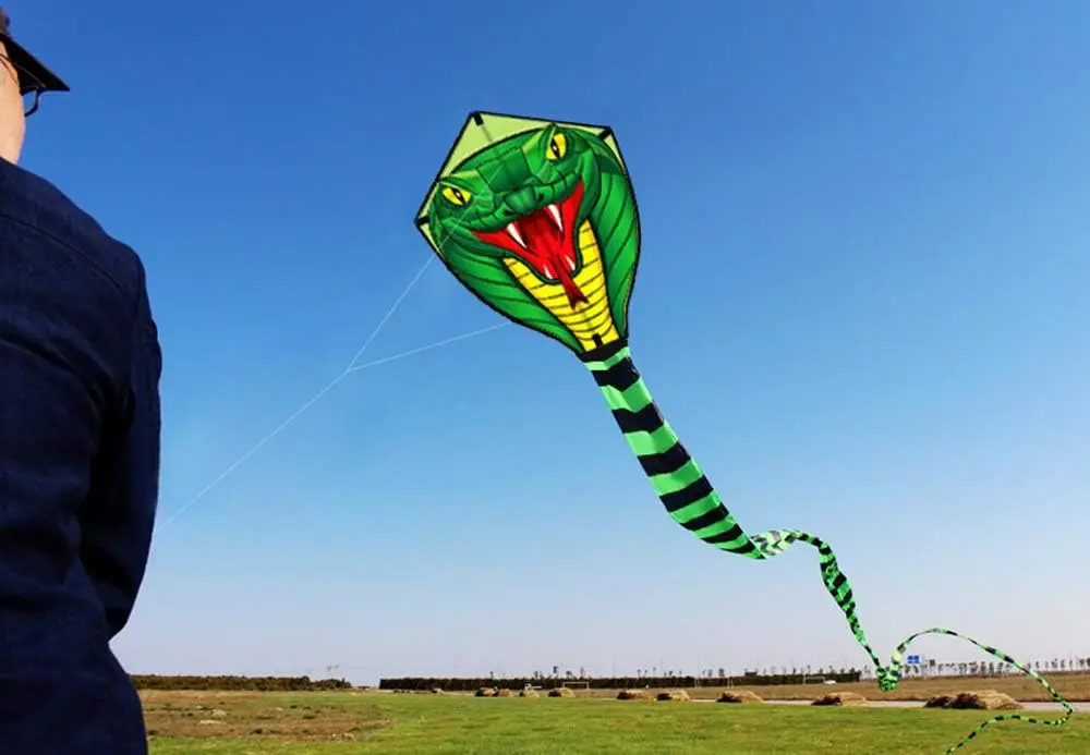 Outdoor Fun Sport Strong Snake With Long Colorful Tail Huge Beginner Snake Kites For Adults Come With String And Handle