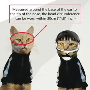 7 Hauptverkäufe Motorradmotorrad für Hund - №7