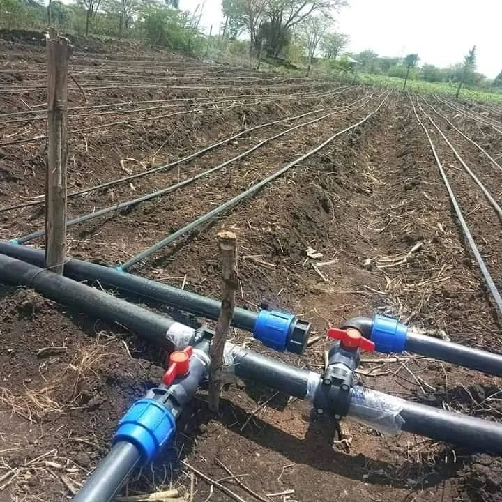 2025Water Saving Irrigation System for 1 Hectare of Agricultural Onion Drip Irrigation