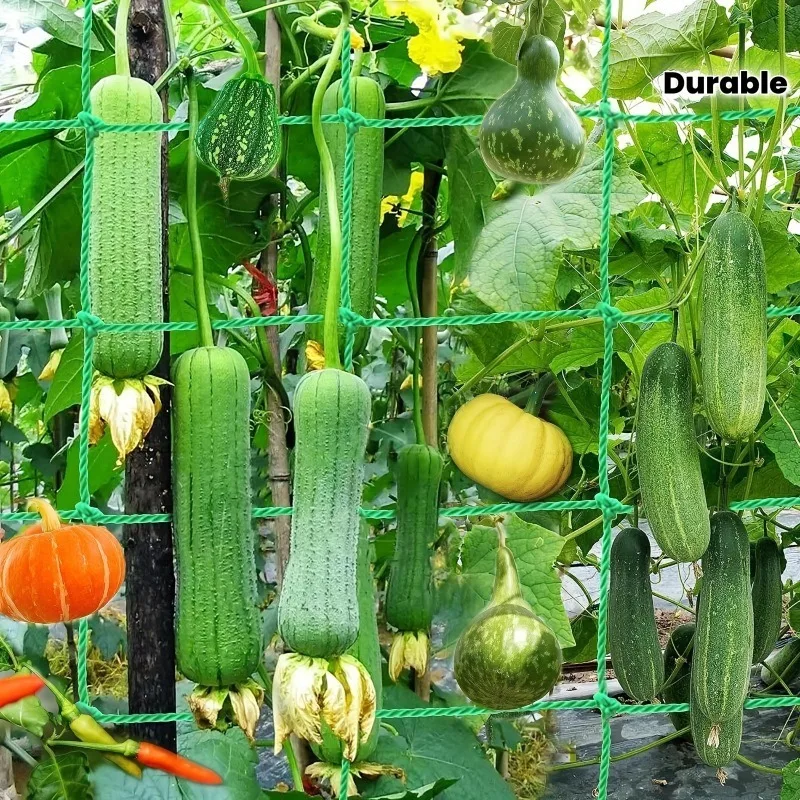 

Trellis Netting for Climbing Plants Heavy Duty Garden Trellis Netting for Cucumber, Fruits Vegetables Tomato Plants Trellis Net