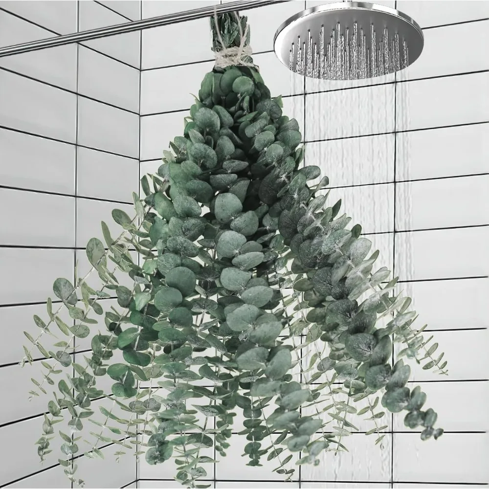 Tallos de Eucalipto Secos Naturales para Decoración de Ducha, Hojas Grandes de Eucalipto, Plantas Colgantes, Vaporizador de Ducha Fresco, Aromaterapia, Decoración de Baño, Rellenos para Jarrones, Arreglos Florales DIY, Decoración Verde para el Hogar