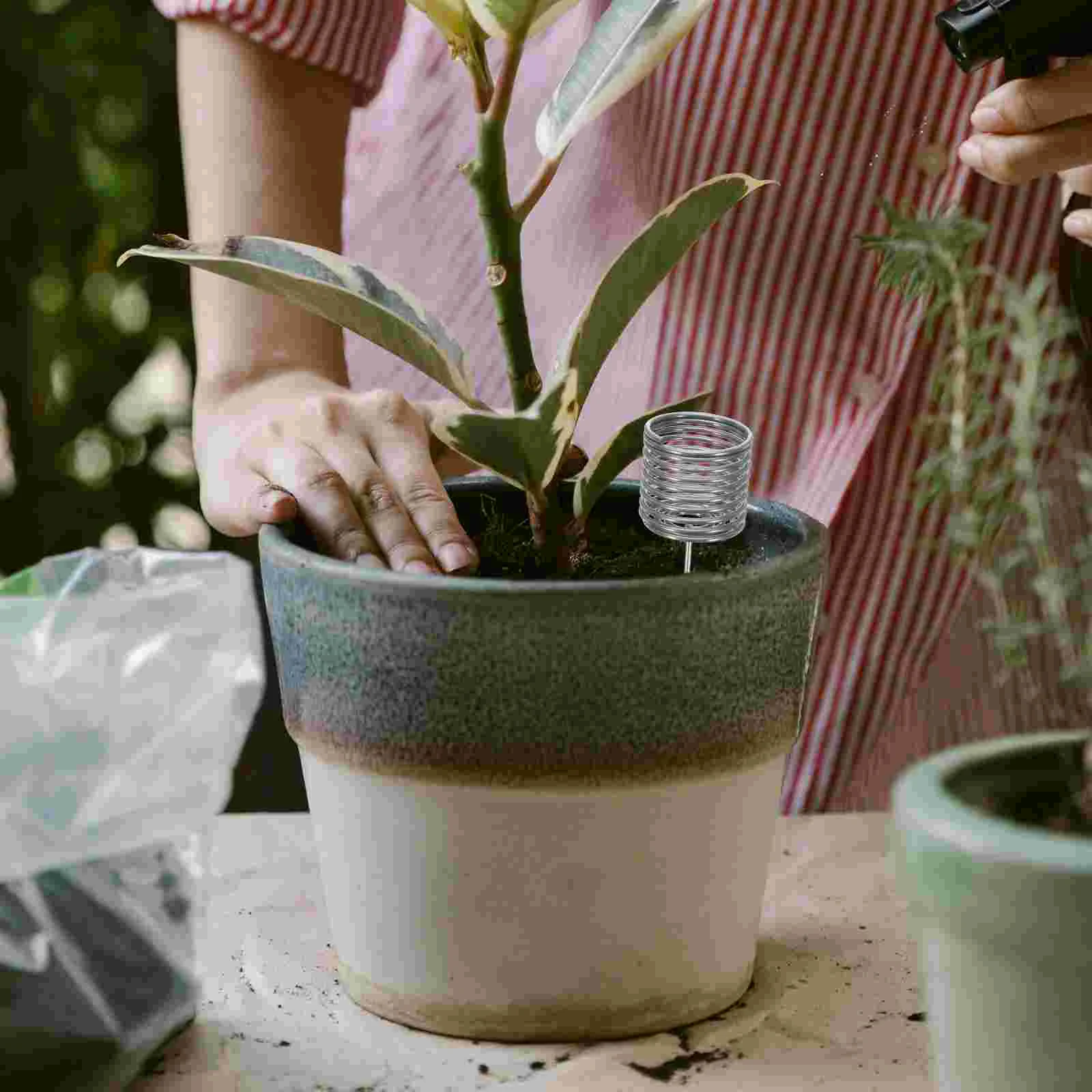 10-częściowe pudełko na rośliny Kosze do bonsai ze stali nierdzewnej Artykuły ogrodnicze Rośliny Manure Spike Pojemnik na nawożenie