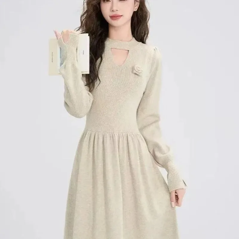 Nouvelle robe à manches longues avec manteau automne hiver taille minceur fond intérieur tricoté jupe longue