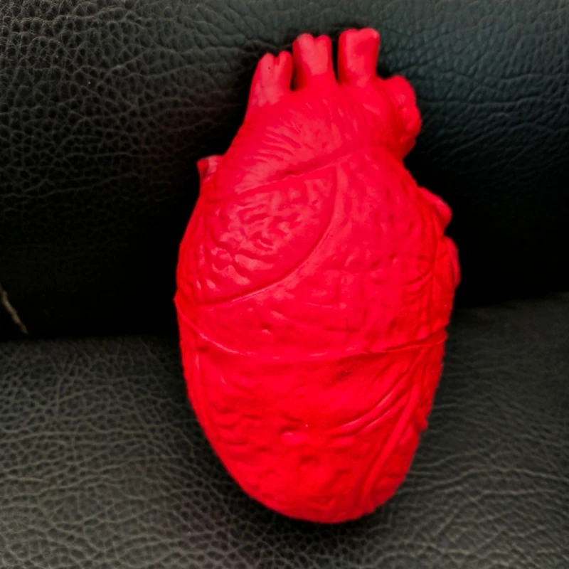 Human Heart Decoration for Halloween Event Realistic Frightening Body Parts Model Ornament Haunted House Accessories