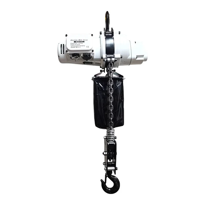 

Electric Chain Hoist 220V Brushless 500kg 3M Small Silent Chain Hoist Small Crane Hoist