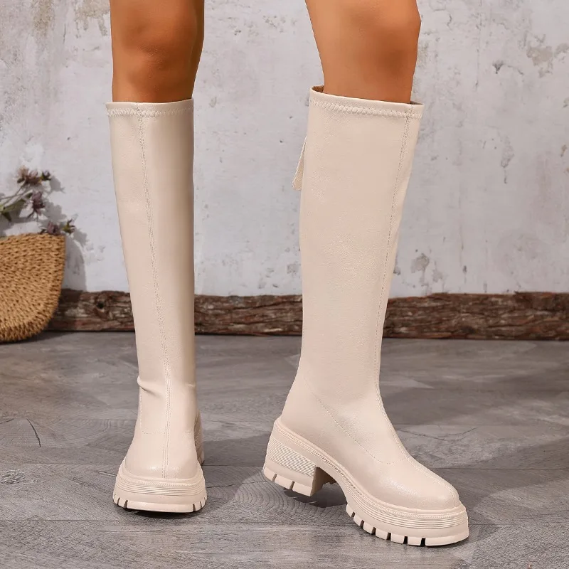 Fashion Platform Knee High Boots for Women Chunky Heel Punk Black Combat Boots Woman Thick Sole PU Leather Long Botas Mujer 2026 view 5