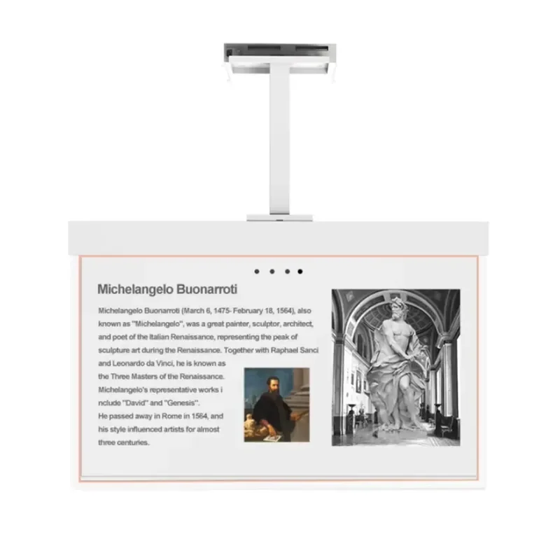 Oled Transparent Screen Frameless Oled OLED Single-sided Suspended Transparent Screen