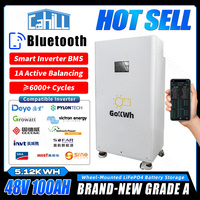 1A Active Balancing 48V 100AH Lifepo4 Battery Pack 16S 100A Smart BMS 51.2V Cells For Home Energy Storage Systems App Monitoring