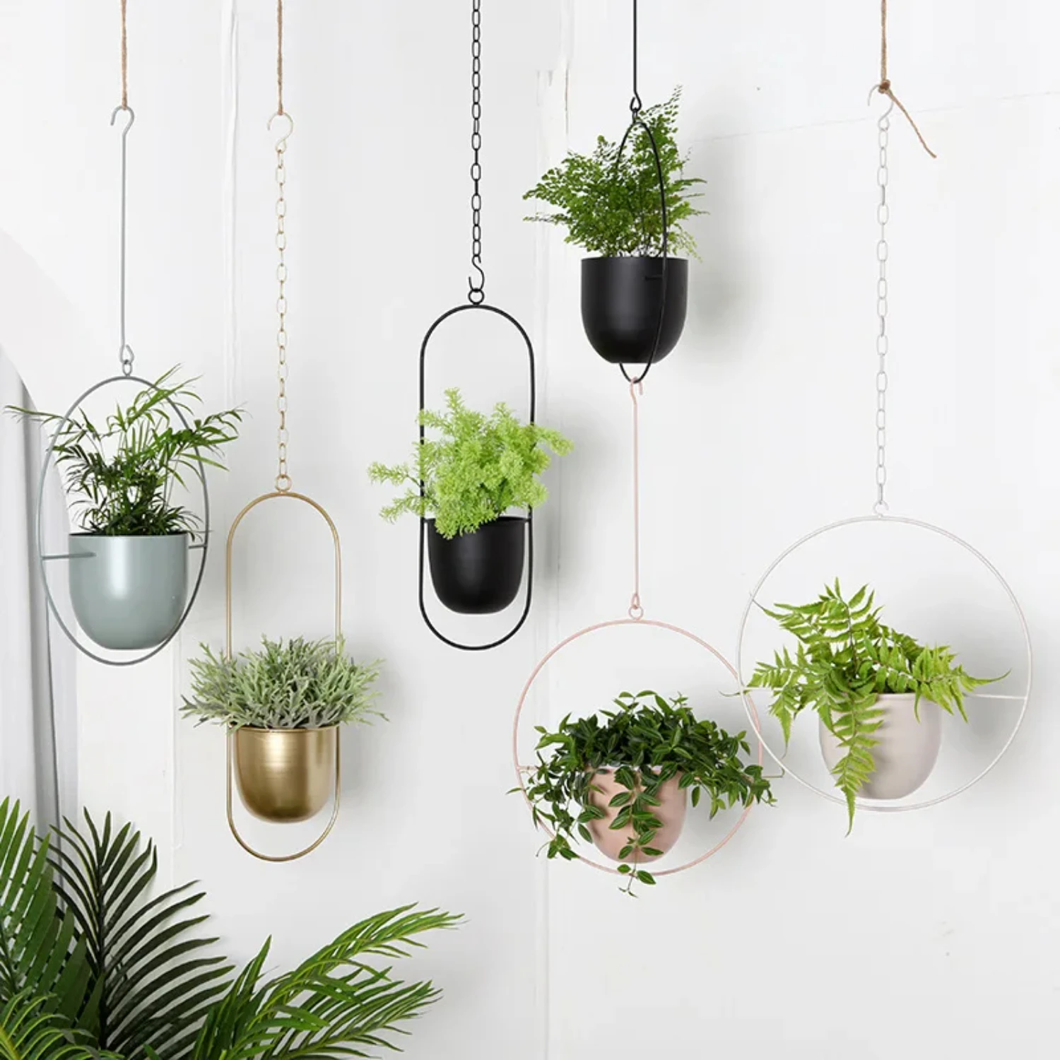 Modern and Simple Hanging Wrought Iron Flowerpot - Creative Balcony Decoration with Hanging Green Radish Succulent Plant