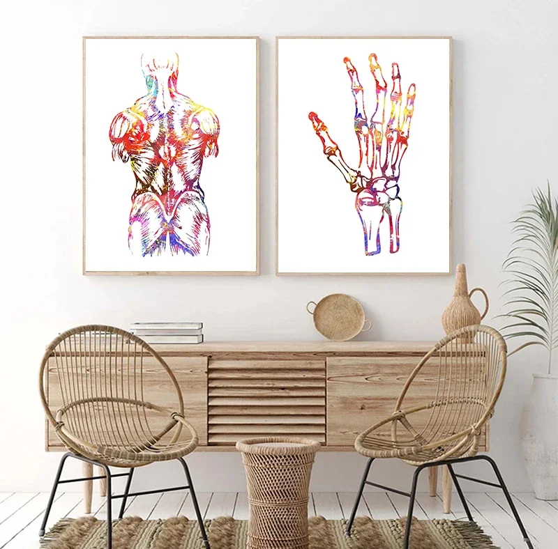 الاسكندنافية بسيطة جدار الفن تشريح الإنسان العمود الفقري القلب الدماغ الهيكل العظمي HD قماش المشارك طباعة غرفة نوم المنزل غرفة المعيشة الديكور #2
