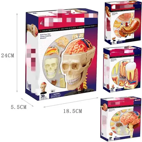 4D Master Puzzle Human Hody Organ Anatomical Model Assembling Toy Medical Teaching Model Biological Educational Toys