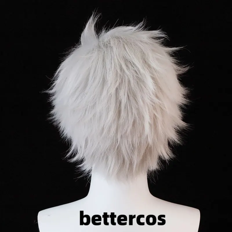 Sylus Cosplay Wig 30cm Short Grey Anime Wigs Heat Resistant Synthetic Hair Halloween Party Wig + Wig Cap view 5