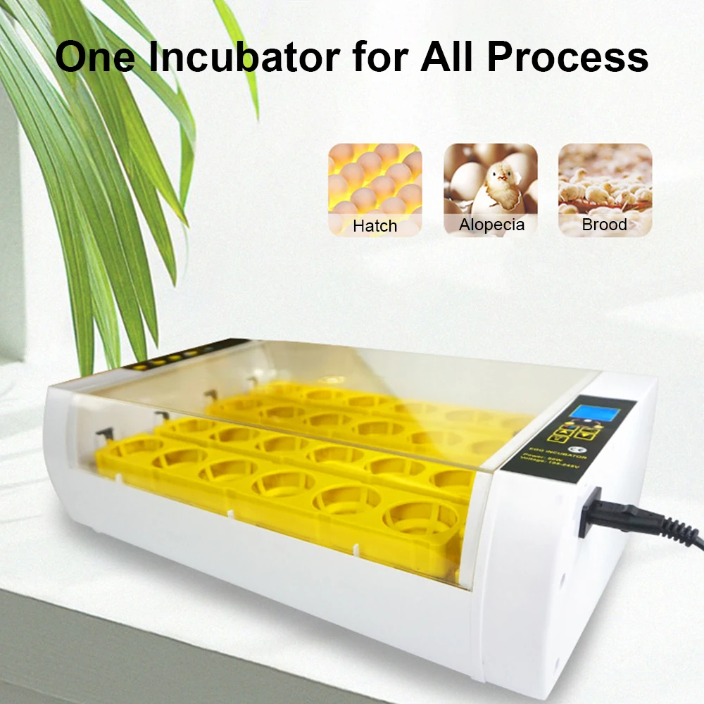 24 Eggs Incubator with Auto Egg Turning Humidity Control and Egg Candler Light Chick Cozy Incubator Hatching Chicken Quail Duck