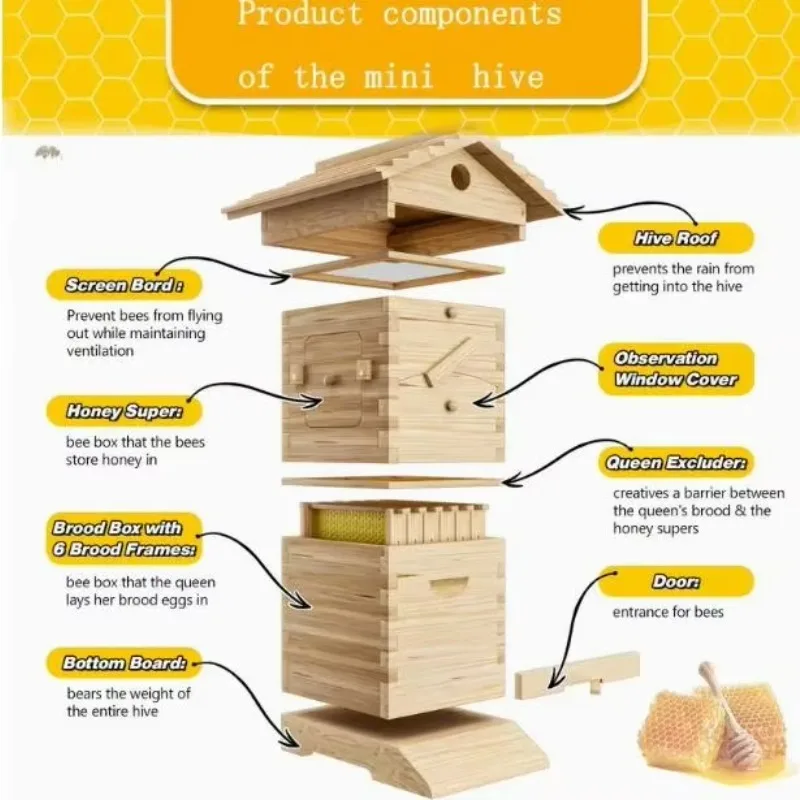 Mini Beehive Boxes House with 4X Auto Run Honey Super Frame 6X Brood Wood