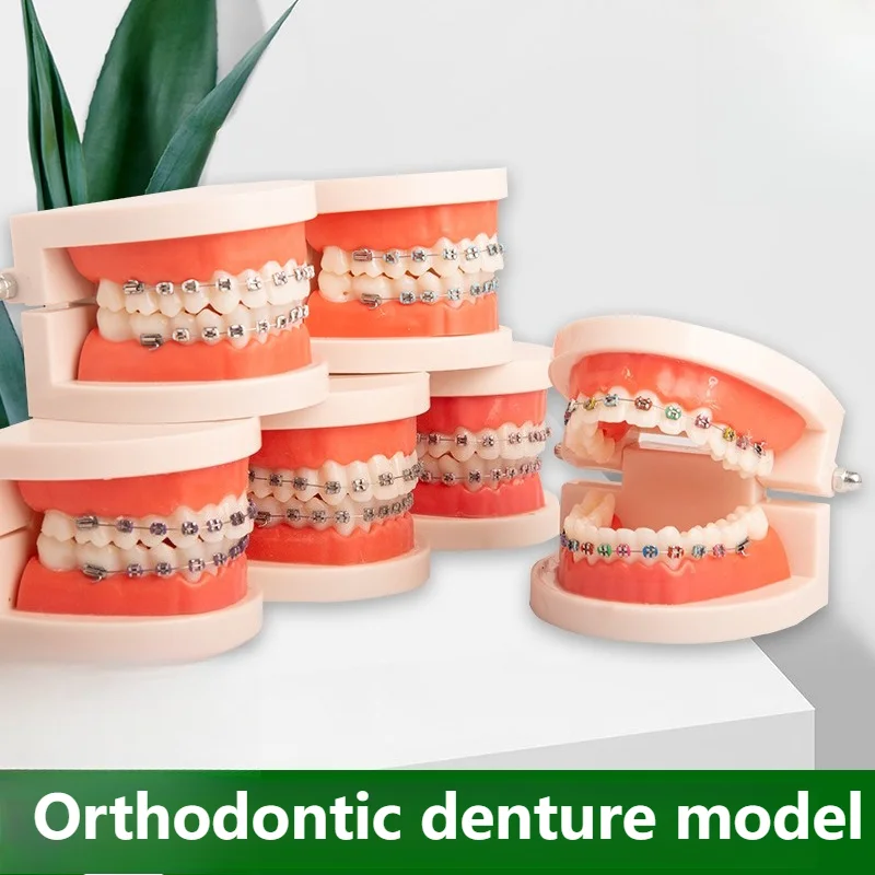 

Стоматологическая модель, ортодонтия, модель для чистки зубных протезов с брекетами, обучающая модель, декоративные учебные пособия, вспомогательная связь