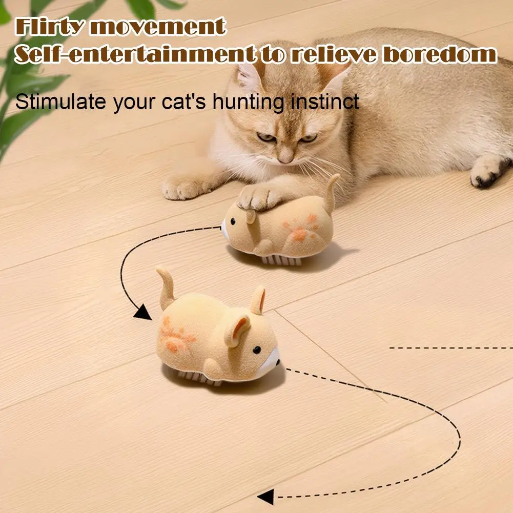 Thumbnail 4 - #5 Trending Cat Toys Right Now