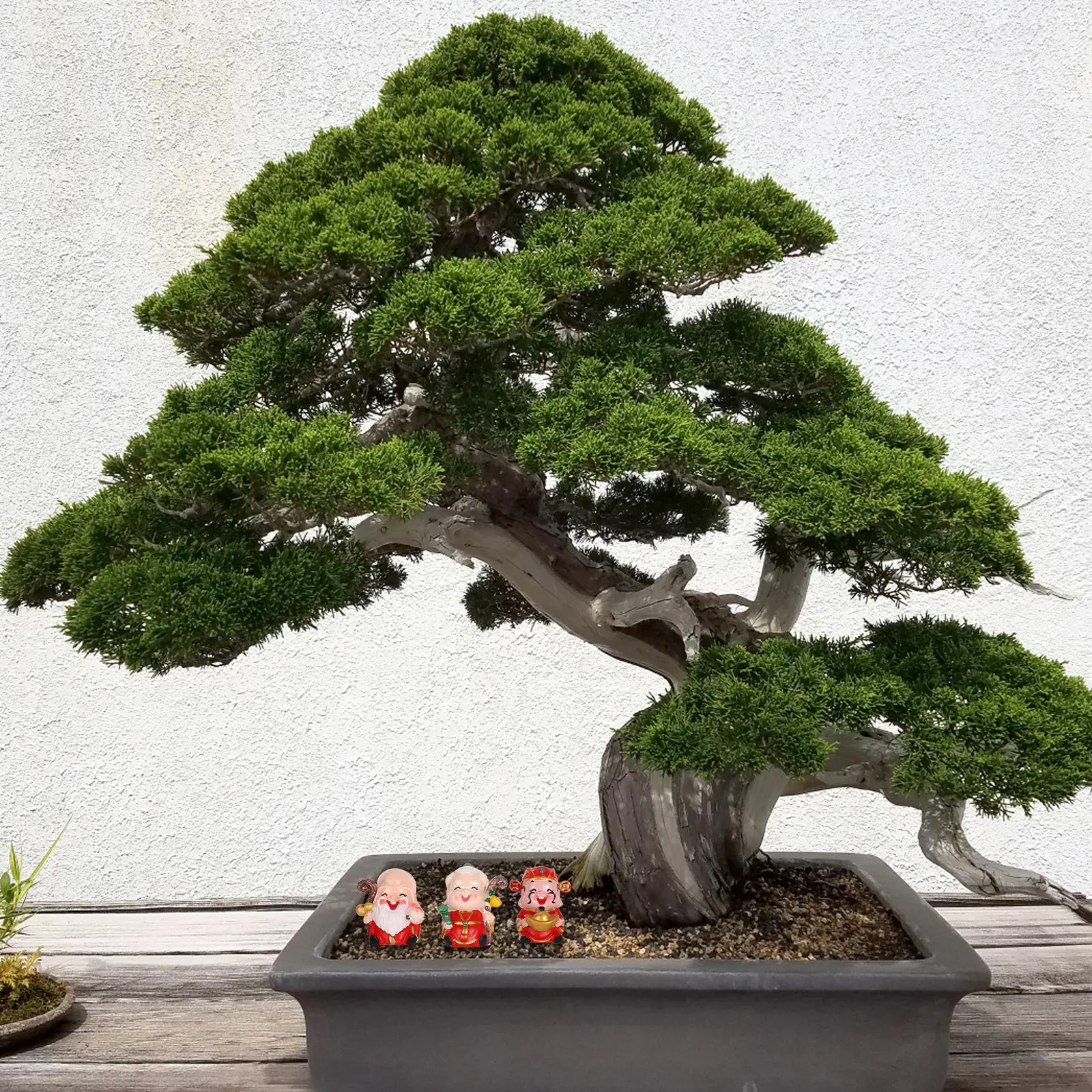 3Pcs Resin Chinese Elder Figur - Longevity Health & Wellness Hotel recensie en prijs