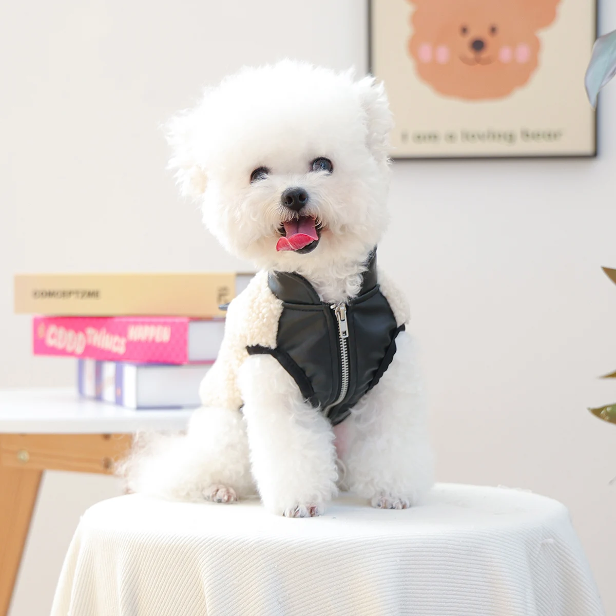 ملابس الخريف والشتاء للقطط والكلاب الأليفة، سترة جلدية صغيرة وسيم بجيب من لحم الضأن - سترة عصرية سوداء سميكة