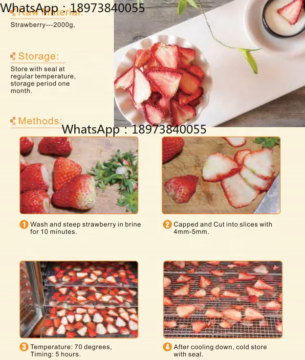96-Tabletts, industrieller kom – Dehydrator Tray Electric Bewertung und Preis