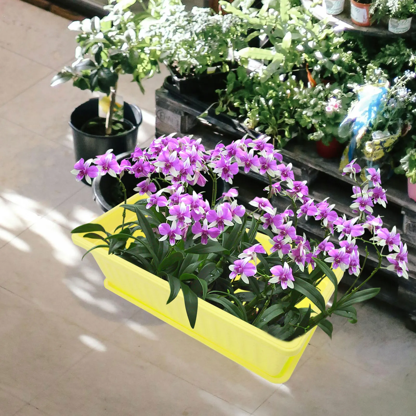 

2 Sets Planting Pots Vegetable Planter Windowsill Rectangle Flower Succulent Container Plastic Nursery Outdoor