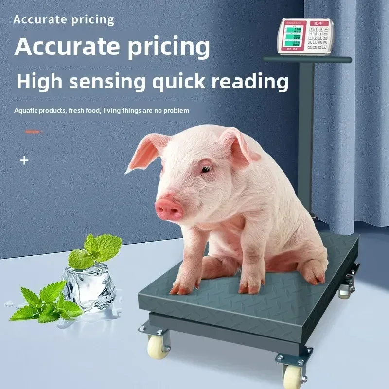 Timbangan elektronik rumah tangga