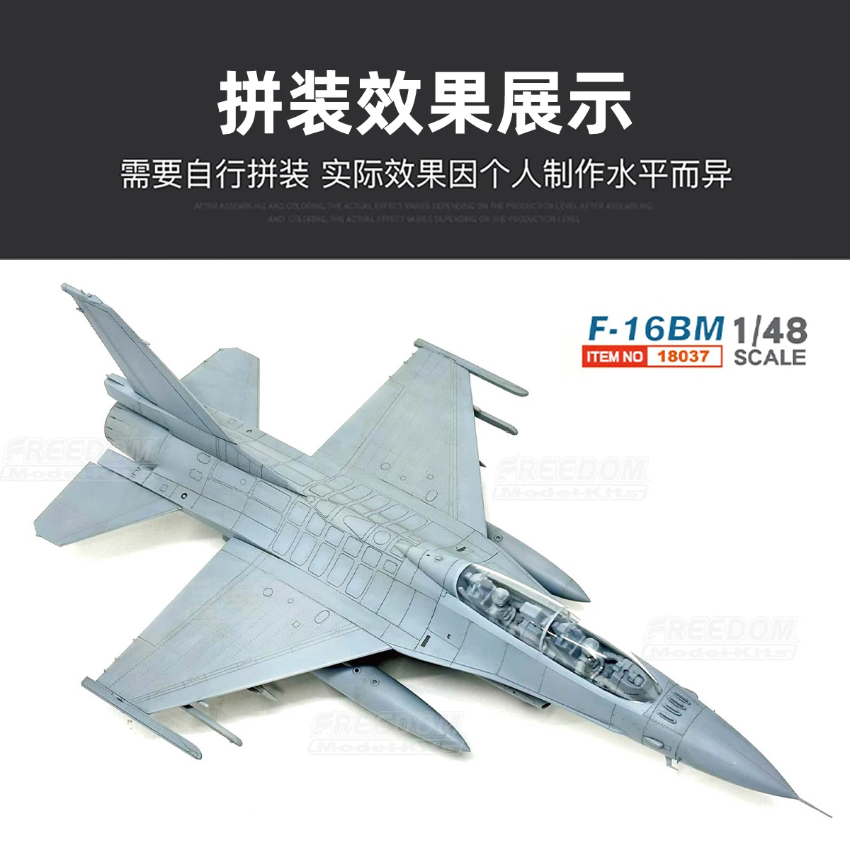 FREEDOM F18037 1/48 F-16BM Block 20 `Taiwan Viper` Two-Seater 5th Tactical Composite Wing Taiwan Air Force Model Kit