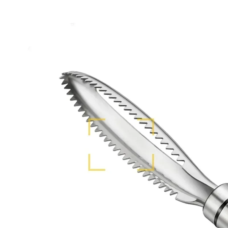 Stainless Fish Scales Scraping Graters Fast Remove Cleaning Peeler Scraper Bone Tweezers Tool Gadge Kitchen Accessorie Gadgets image 4