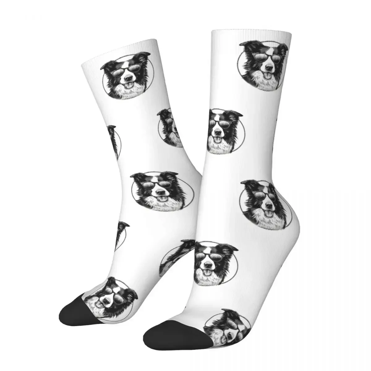 Border Collie Socks Harajuku High Quality Stockings All Season Long Socks Accessories for Unisex Gifts